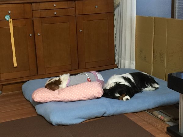 rblog-20160117212750-02.jpg