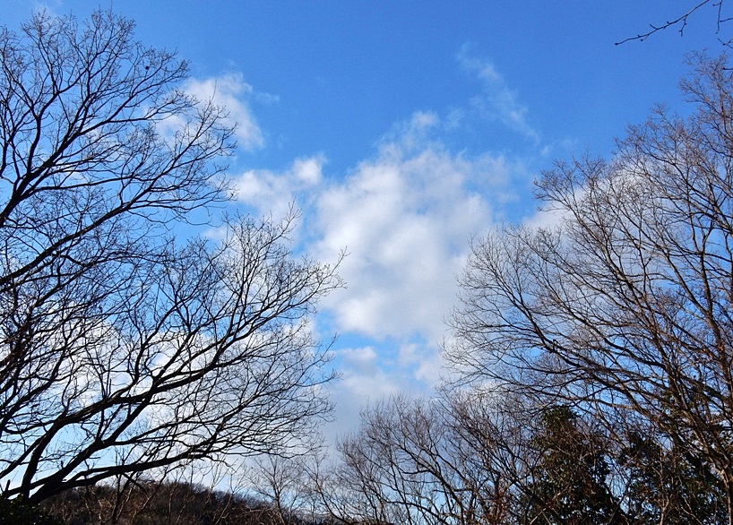 空2.JPG