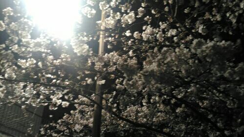rblog-20160404142710-01.jpg