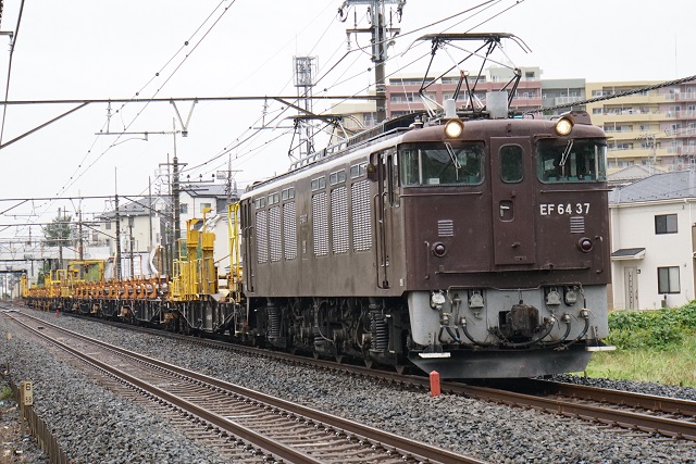 EF64 37牽引 松本ロングチキ工臨5