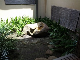 中庭.jpg