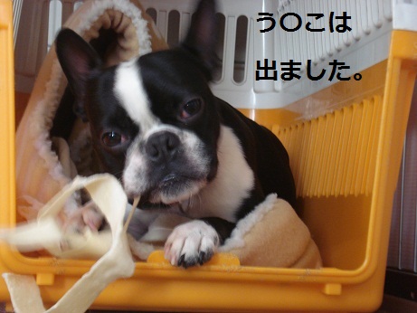 DSC04025.JPG