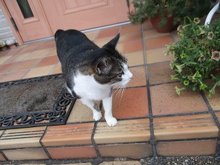 IMG_1437ss.jpg