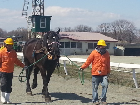 20160410_105525.jpg