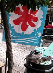 DSC_1218-26.jpg