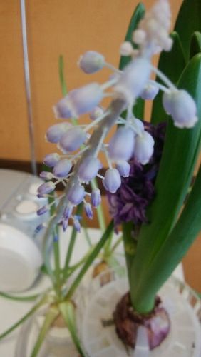 rblog-20180224070457-00.jpg