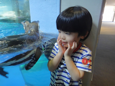 あら、ペンギンさんだわー♪.jpg