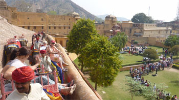 インド600.jpg
