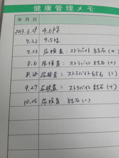 やっと！