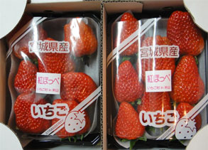 いちご村米山1.jpg