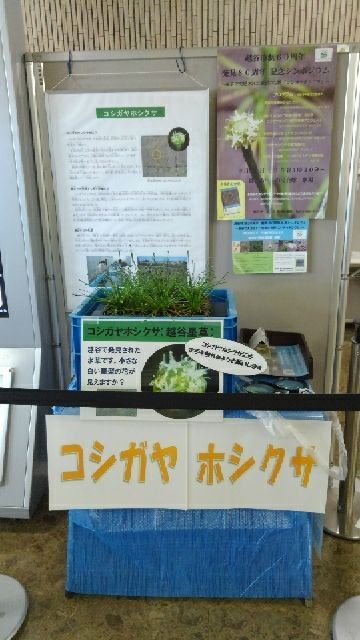 rblog-20180919205557-01.jpg