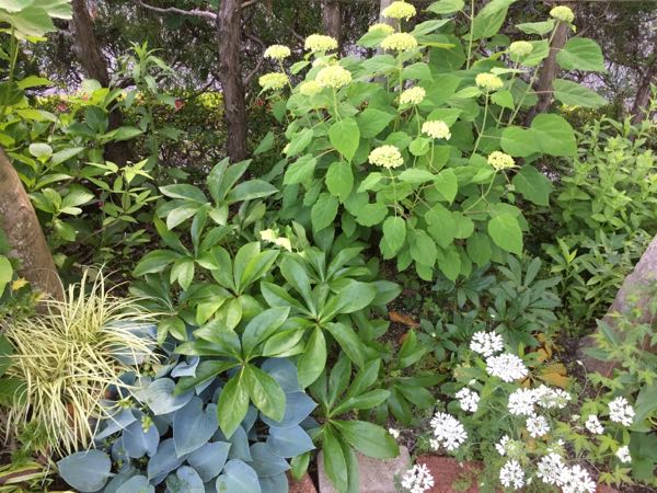 rblog-20170603181147-06.jpg
