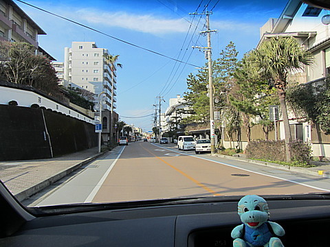 IMG_3064.jpg