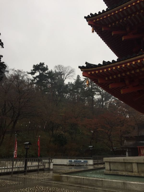 rblog-20190228175047-09.jpg