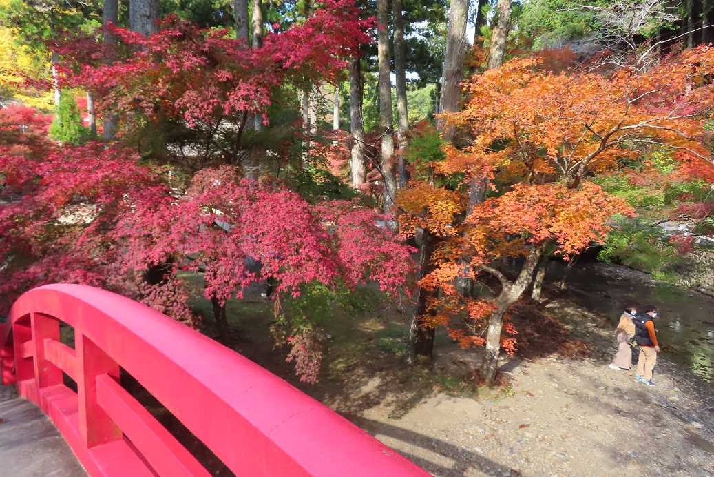 ★周智郡森町・隠れた紅葉の名所 大洞院 | 古ギャルの山登りとガーデニングで楽しく^^ - 楽天ブログ