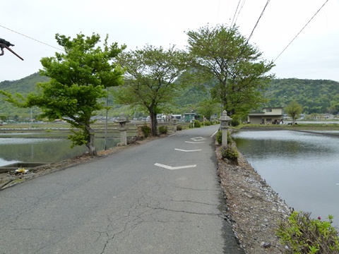 P1050697.JPG