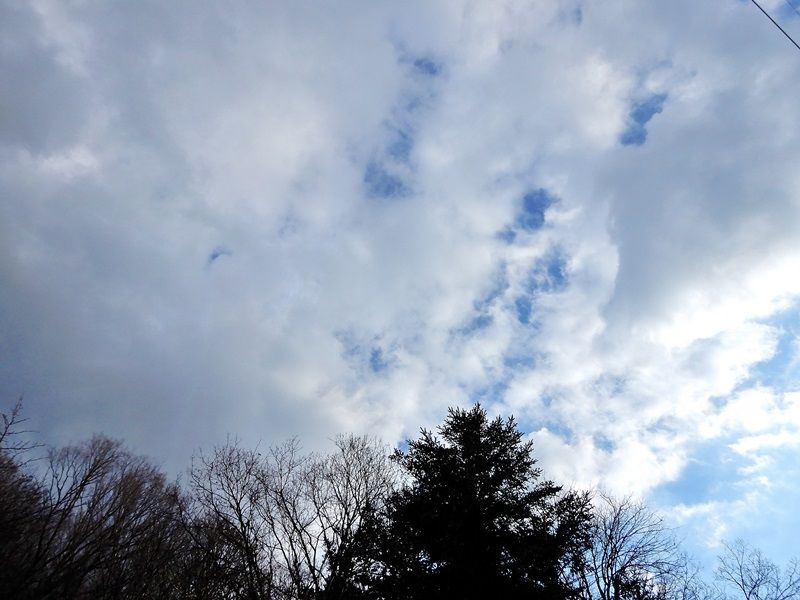 空5