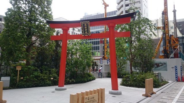 2015-04-29 11.38.59.jpg
