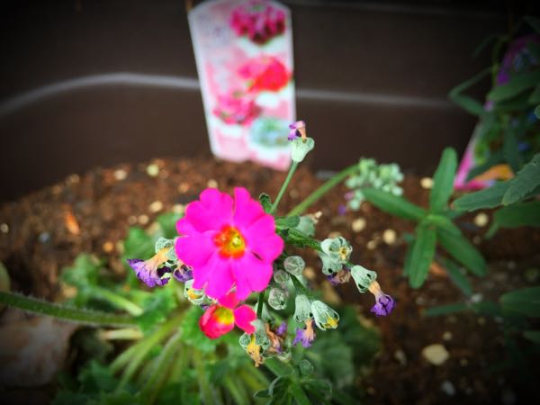 rblog-20151029140812-01.jpg