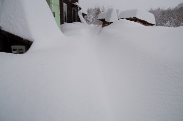積雪140215-2