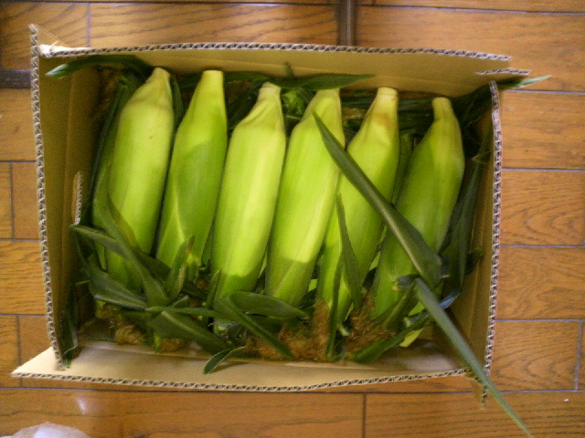 2013081520510000.jpg