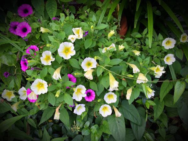 rblog-20160630184304-06.jpg