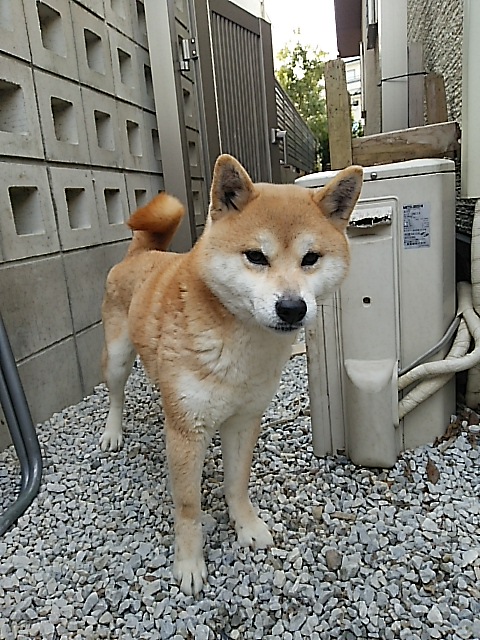 00350014.JPG
