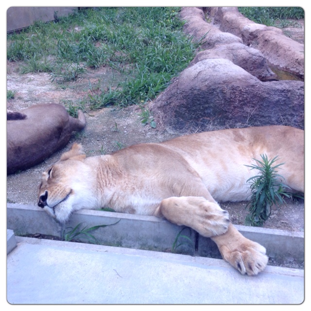 rblog-20130630001743-03.jpg