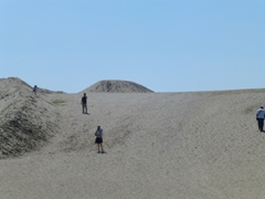 P1000644.JPG