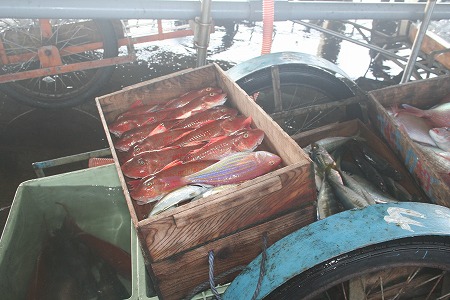 s-IMG_9258.jpg