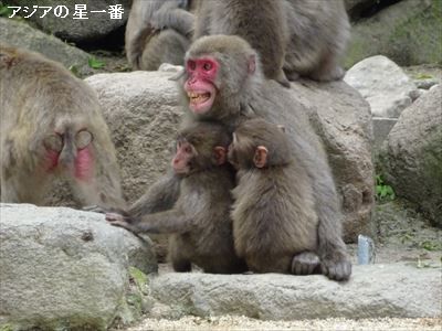 20160514 大分市　由布院9