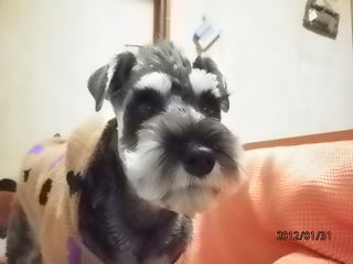 おはぎー４