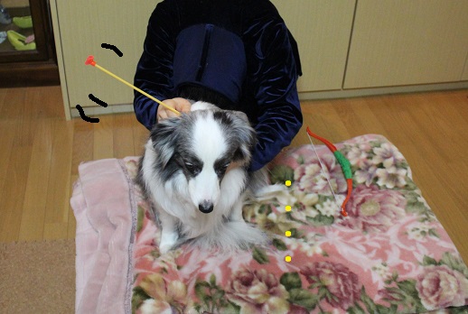 こんどは