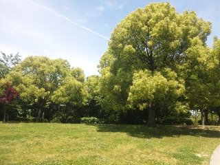 空気がうまい♪