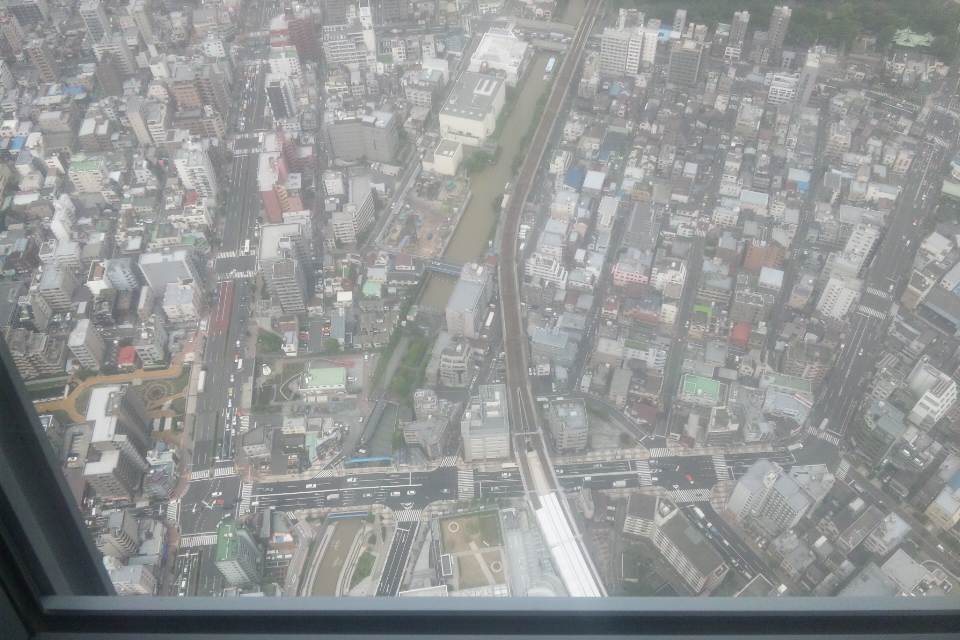 DSC_1677.JPG