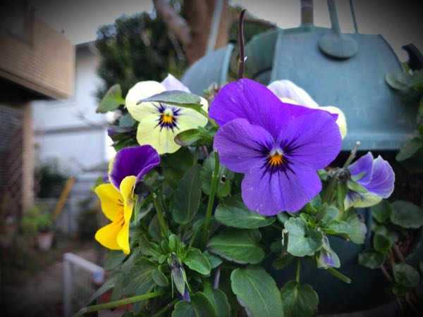 rblog-20161231164110-09.jpg