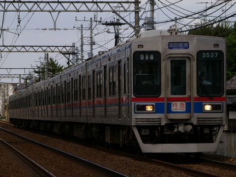 IMGP8563.JPG