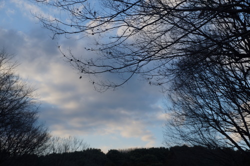 DSC06162b20160202.jpg