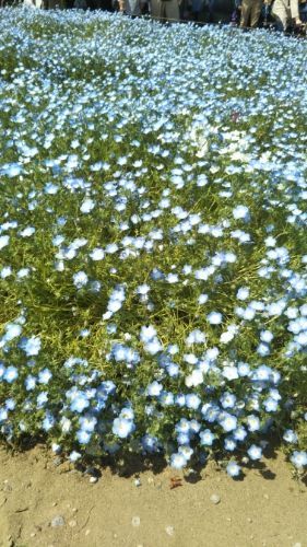 rblog-20180430203849-01.jpg