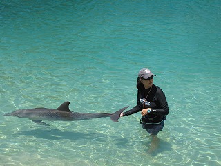 IMG_5364.jpg