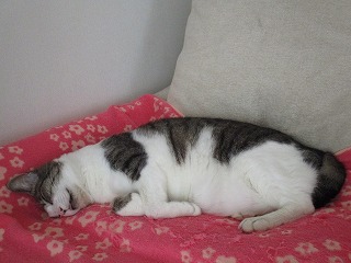 IMG_8736ss.jpg