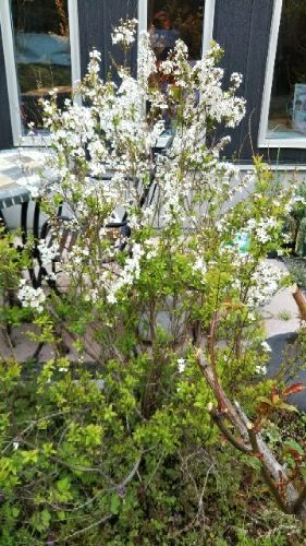 rblog-20180504103555-04.jpg