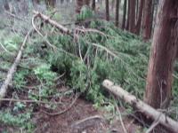 20120624_90.jpg