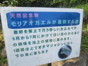 伊豆四季の花公園