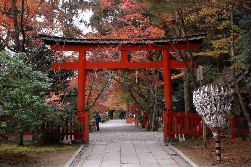 大原野神社_006.jpg
