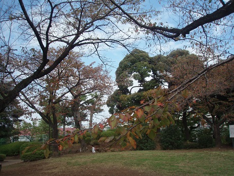 野毛山公園