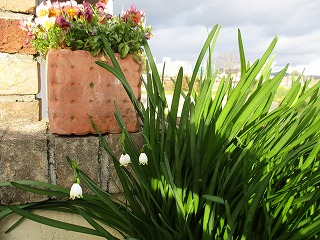 IMG_8156ss.jpg