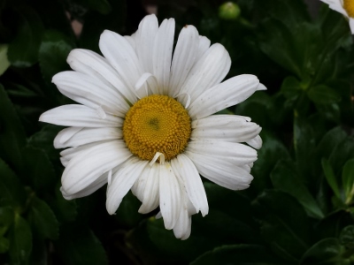 20160929_073158 (400x300).jpg
