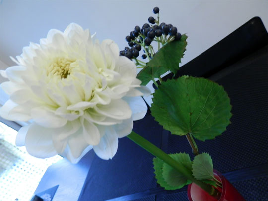 flower20120926.jpg