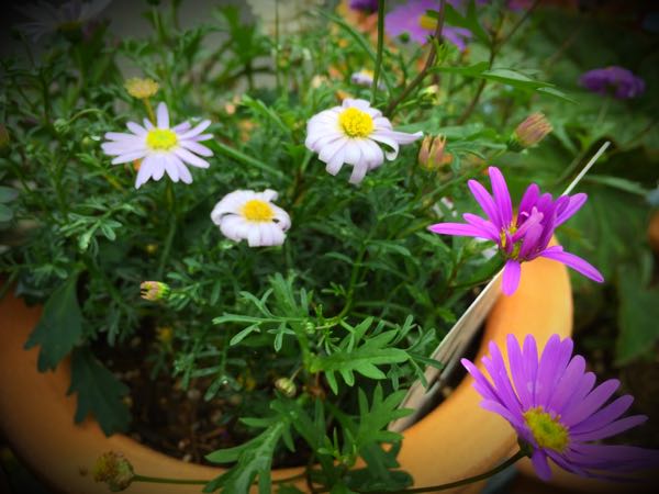 rblog-20151029145804-02.jpg